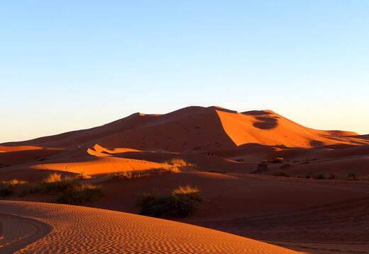 04_In der Sahara