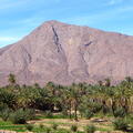 05_Oasen