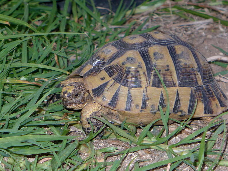 06_400 Kilometer gegen den Wind