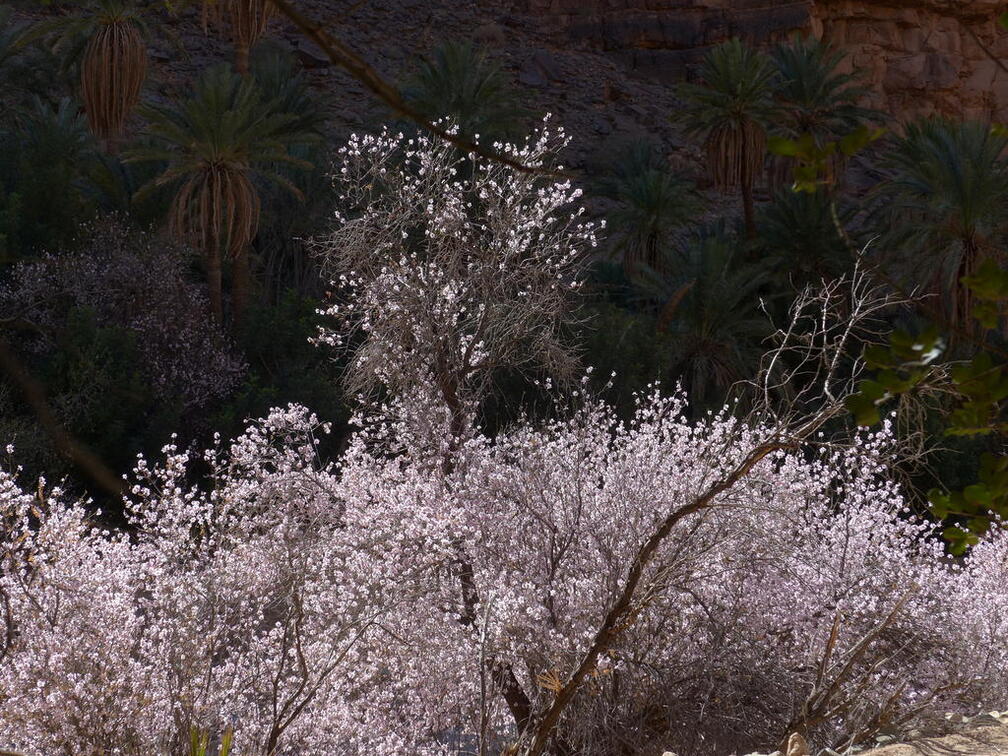 06_400 Kilometer gegen den Wind