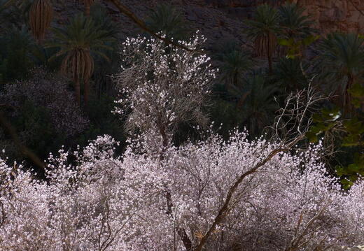 06_400 Kilometer gegen den Wind