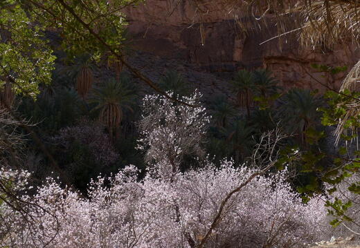 06_400 Kilometer gegen den Wind