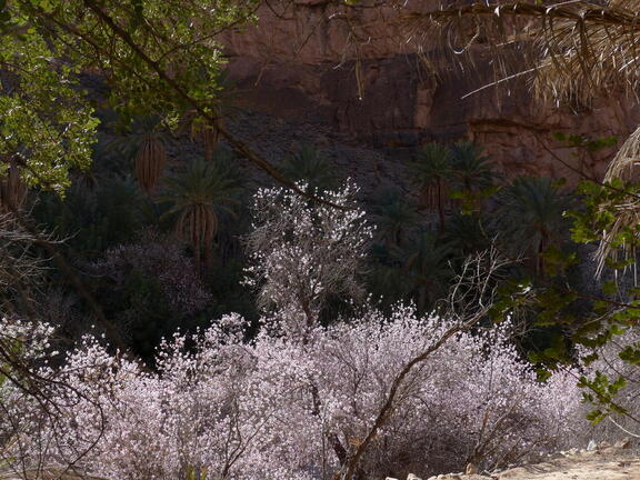 06_400 Kilometer gegen den Wind