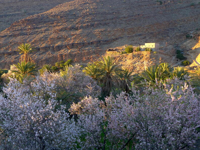 06_400 Kilometer gegen den Wind