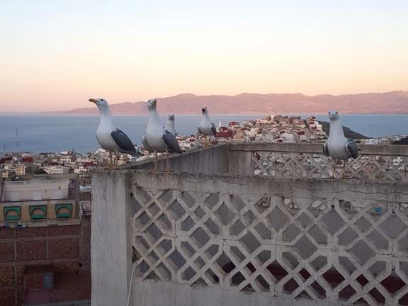 08_Schlottes erste Fahrradreise