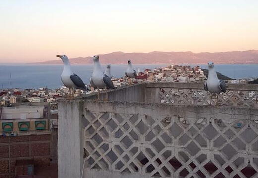 08_Schlottes erste Fahrradreise