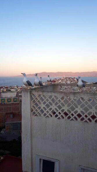 08_Schlottes erste Fahrradreise
      