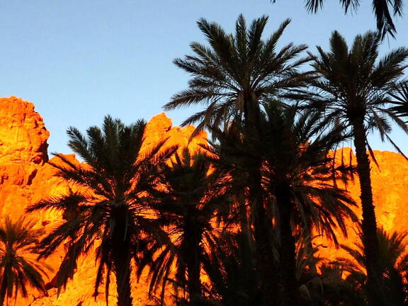 08_Schlottes erste Fahrradreise