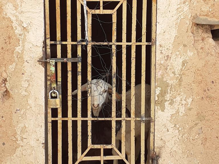 08_Schlottes erste Fahrradreise