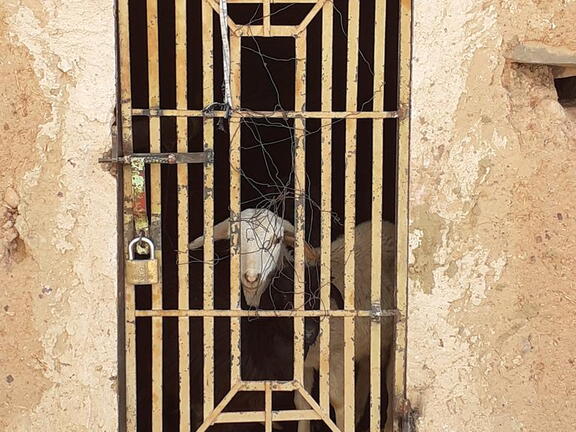 08_Schlottes erste Fahrradreise