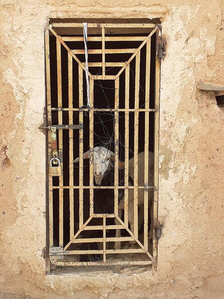 08_Schlottes erste Fahrradreise
      