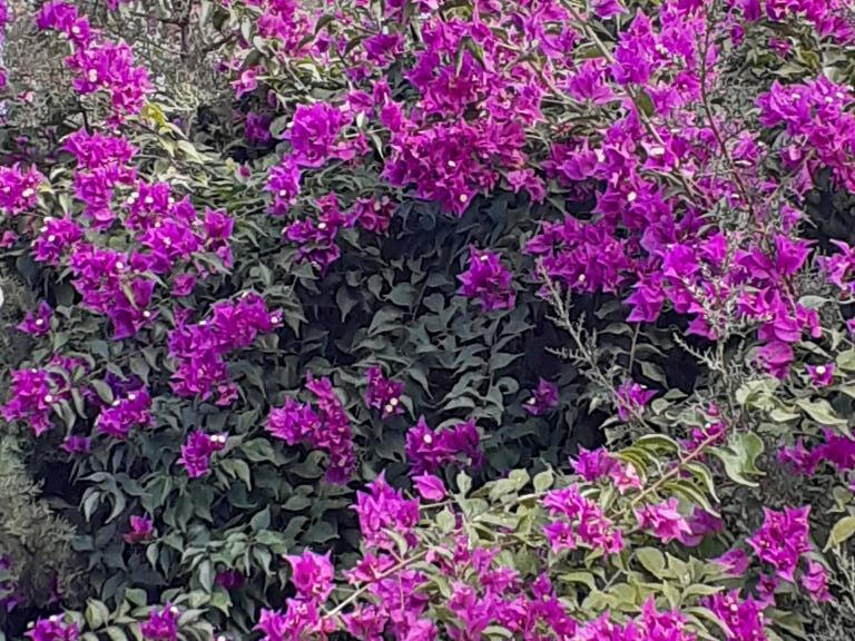 08_Schlottes erste Fahrradreise