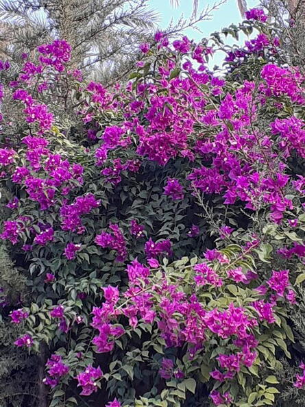 08_Schlottes erste Fahrradreise
      