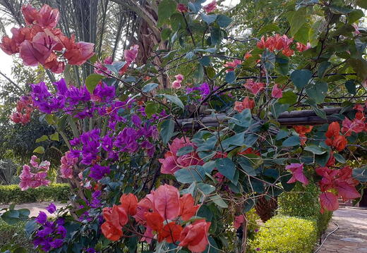 08_Schlottes erste Fahrradreise