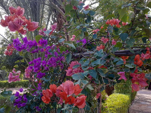 08_Schlottes erste Fahrradreise