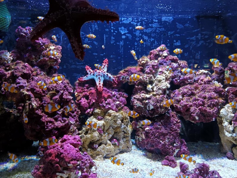 Aquarium Barcelona
