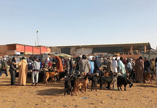 Maroc  2023 02 06-20230121 105828