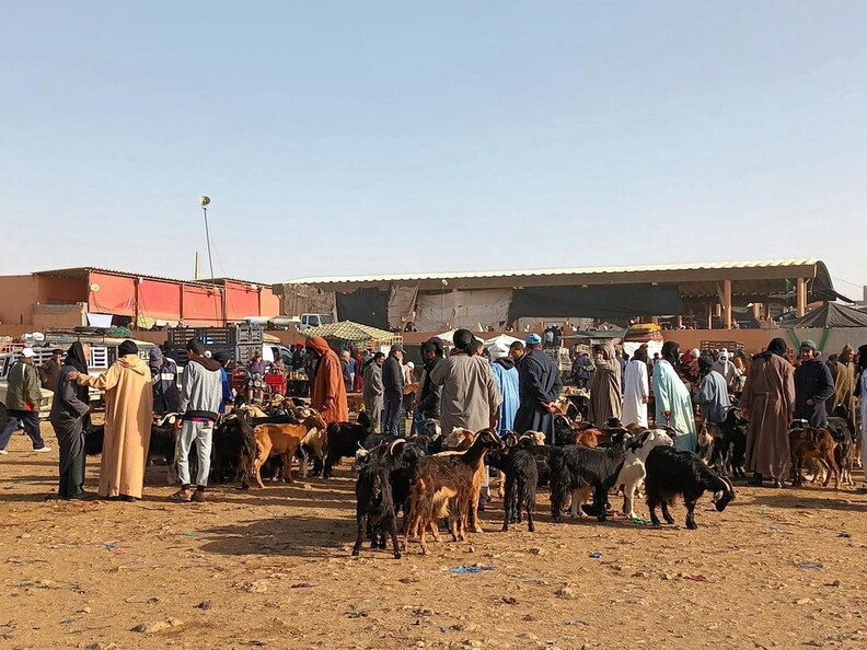 Maroc  2023 02 06-20230121 105828