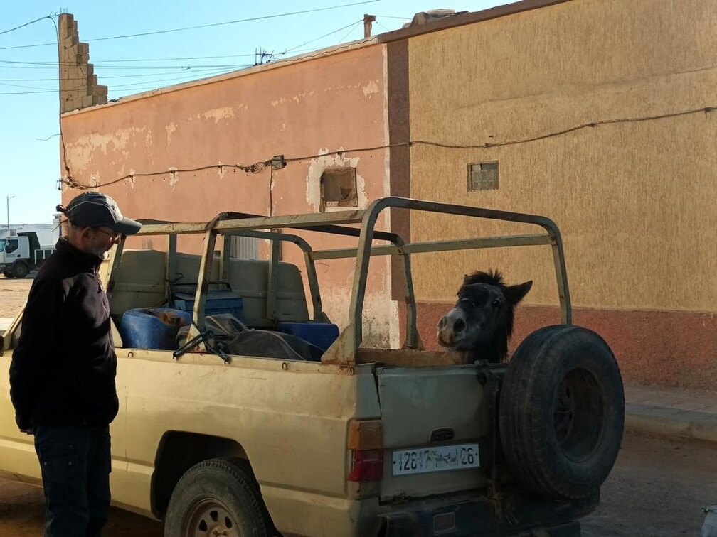 Maroc  2023 02 06-20230126 172448