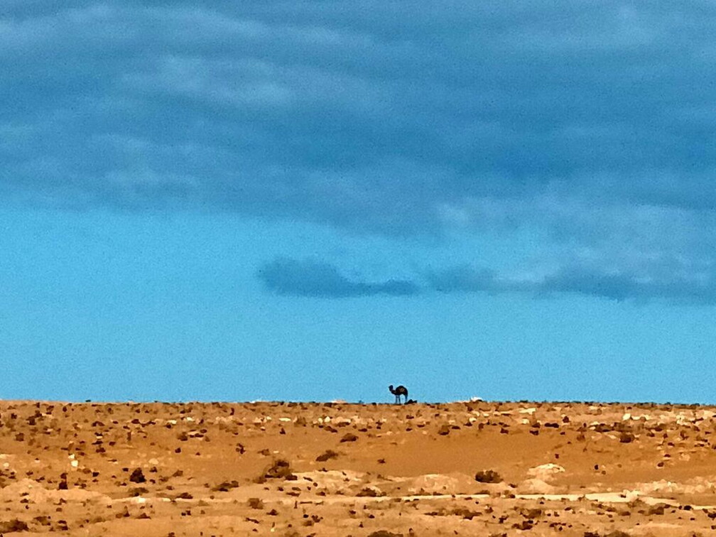 Maroc  2023 02 06-20230127 112249