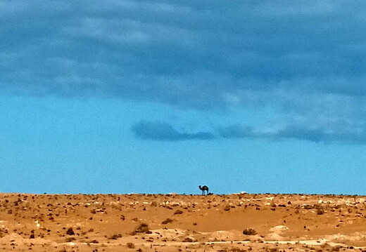 Maroc  2023 02 06-20230127 112249