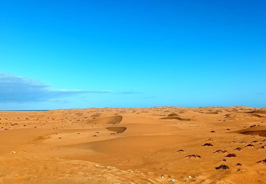 Maroc  2023 02 06-20230127 104907