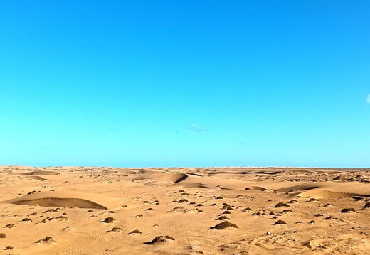 Maroc  2023 02 06-20230127 104918