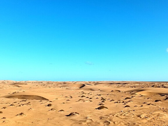 Maroc  2023 02 06-20230127 104918