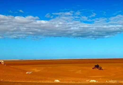 Maroc  2023 02 06-20230127 113910