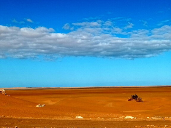 Maroc  2023 02 06-20230127 113910