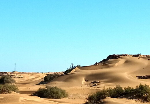 Maroc  2023 02 06-20230127 114339