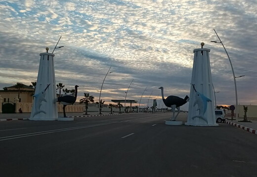 Maroc  2023 02 06-20230130 192116