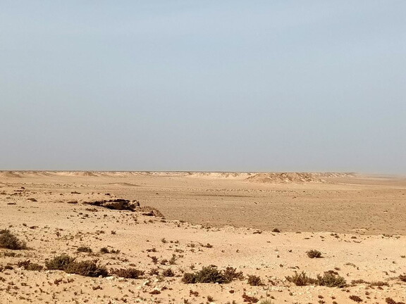 Maroc  2023 02 06-20230202 162203