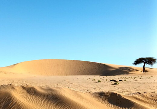 05 Durch den Süden der Sahara in Mauretanien nach Nouakchott