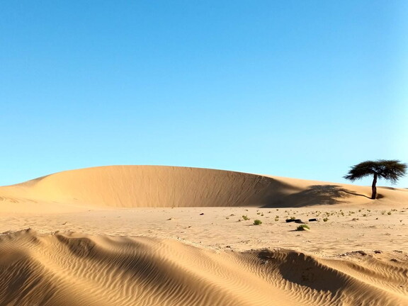 Maroc  2023 02 24-20230218 091941