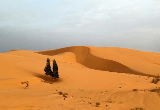 Maroc  2023 02 24-20230222 080410