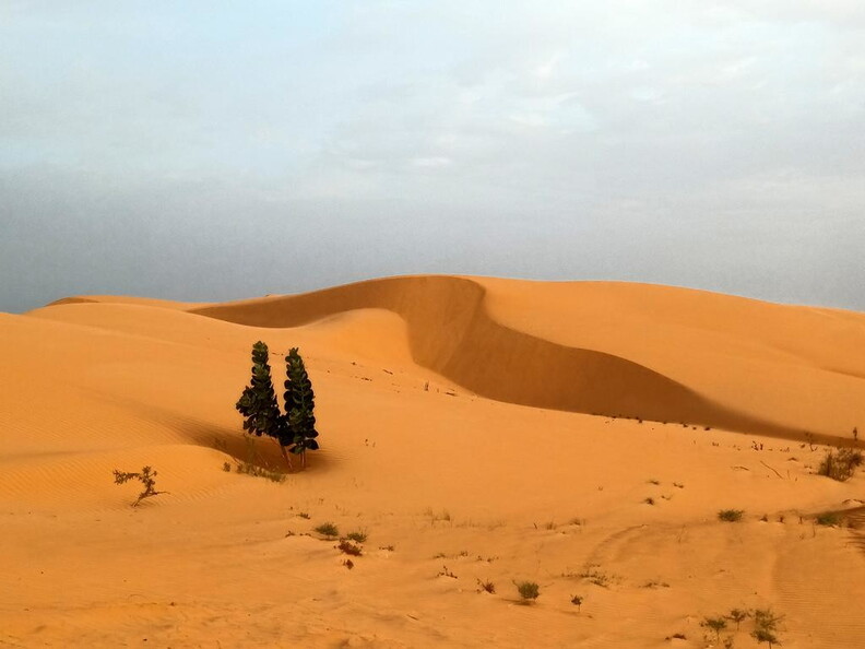 Maroc  2023 02 24-20230222 080410