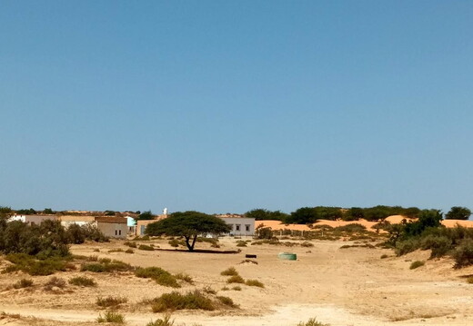 Maroc  2023 03 05-20230227 133759