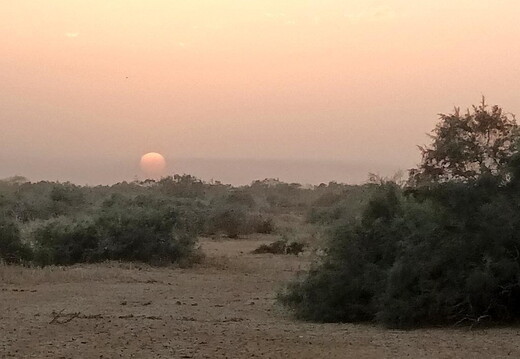 Maroc  2023 03 05-20230228 190758