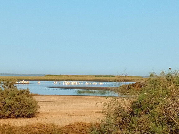 Maroc  2023 03 05-20230301 083434