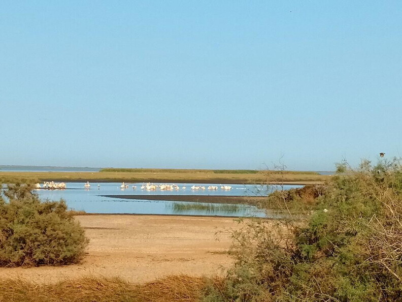 Maroc  2023 03 05-20230301 083434
      