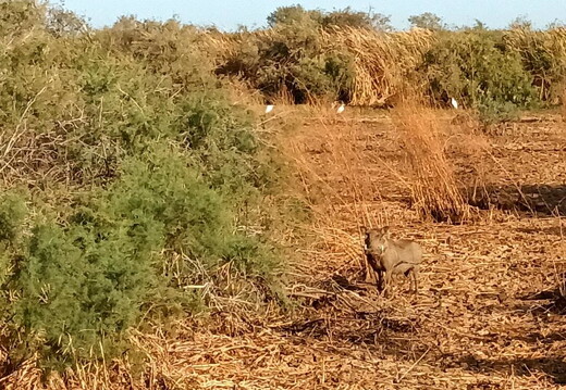 Maroc  2023 03 05-20230301 084537