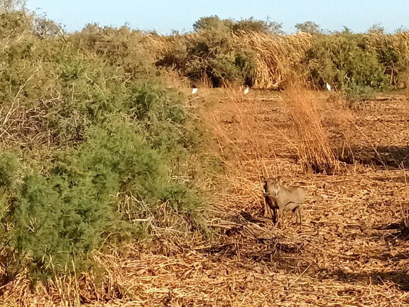 Maroc  2023 03 05-20230301 084537