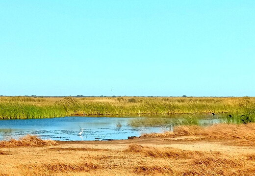Maroc  2023 03 05-20230301 091405