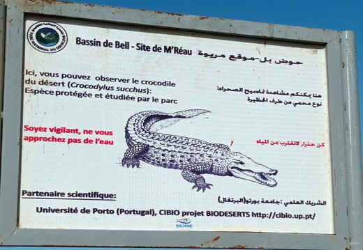 Maroc  2023 03 05-20230301 095321