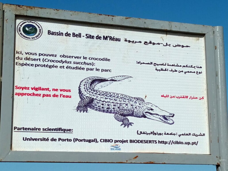 Maroc  2023 03 05-20230301 095321