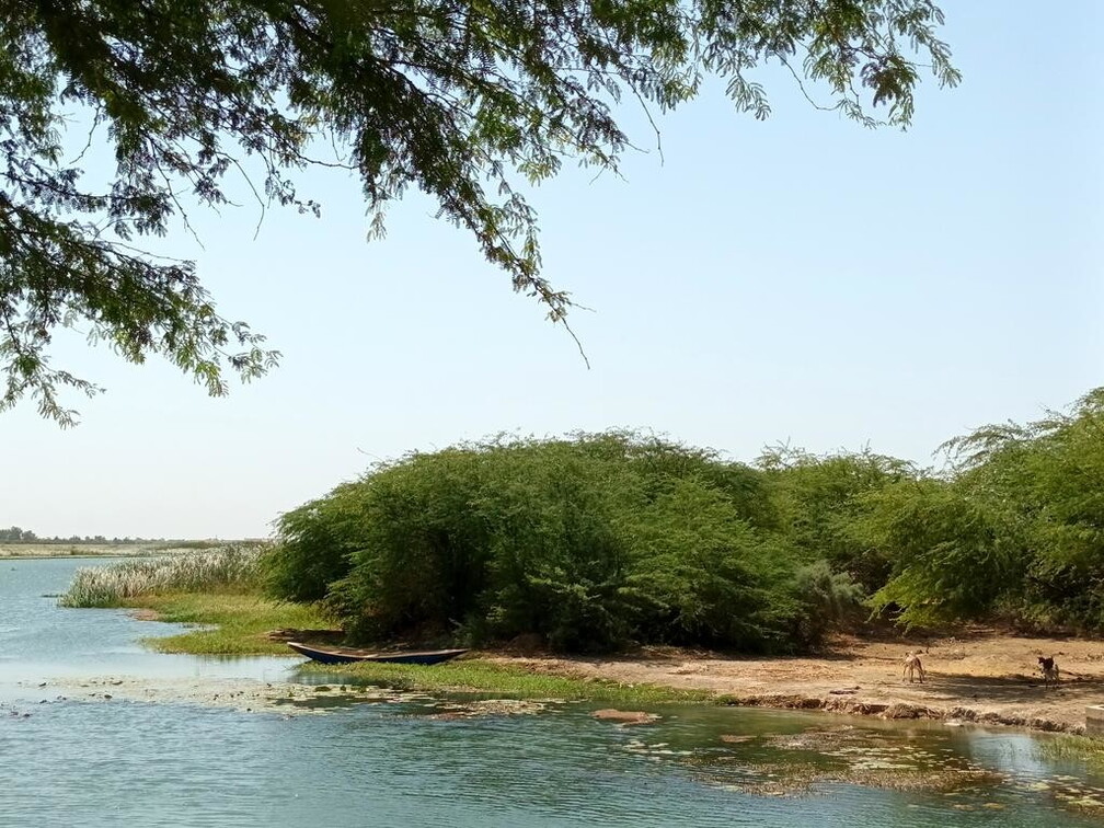 Maroc  2023 03 05-20230301 140235