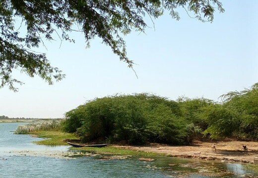 Maroc  2023 03 05-20230301 140235