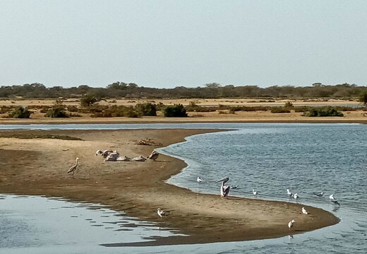 Maroc  2023 03 05-20230301 165045