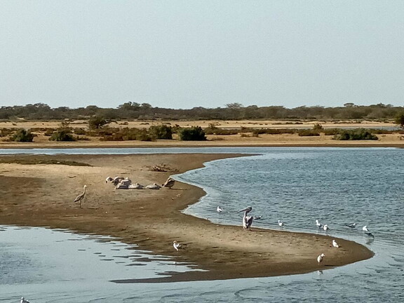 Maroc  2023 03 05-20230301 165045